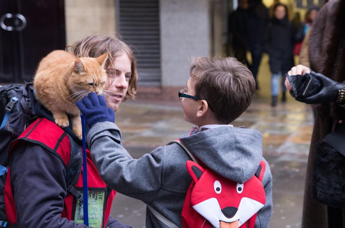 映画で学ぶ｜ボブという名の猫 幸せのハイタッチ A Street Cat Named Bob